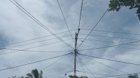 IMG-20230205-WA0004
