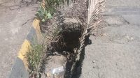 IMG-20230716-WA0019