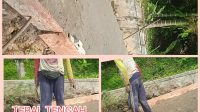 IMG-20230903-WA0086