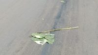 IMG-20231202-WA0035