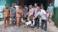 IMG-20240513-WA0100