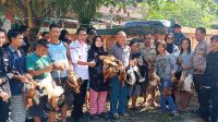 IMG-20240808-WA0018