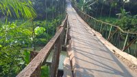 IMG-20240815-WA0093