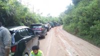 IMG-20250319-WA0010