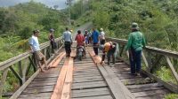 IMG-20250711-WA0267