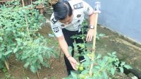 IMG-20260622-WA0050
